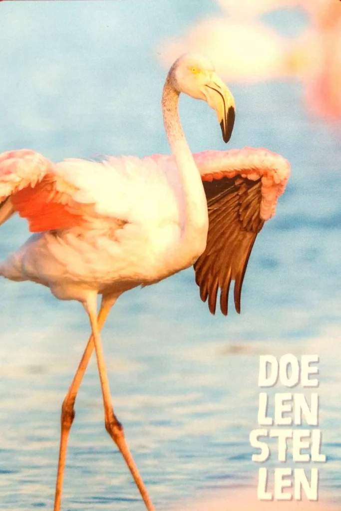 Mindsetkaartje met de tekst ‘Doelen stellen’ en een afbeelding van een flamingo. De flamingo staat symbool voor balans en sluit aan bij Bentes leerproces: stap voor stap groeien, rustig doorwerken en haar weg vinden in de veranderde gezinssituatie.