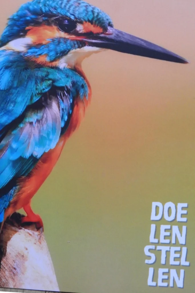 Mindsetkaartje met de tekst ‘Doelen stellen’ en een afbeelding van een ijsvogel. De kaart staat symbool voor persoonlijke groei en sluit aan bij Toms ontdekking dat hulp vragen een kracht is die hem helpt zijn doelen te bereiken.